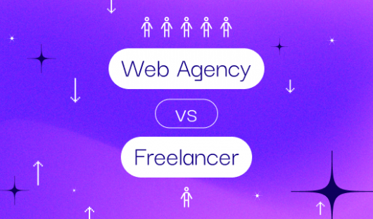Web Agency Or Freelancer Thumb